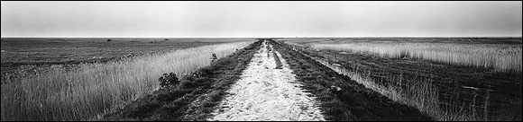 Chris Everard - Path at Cley - photograph