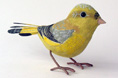 Greenfinch - Emily Sutton