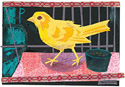 Mark Hearld - Canary