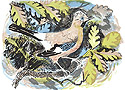 Mark Hearld - Brambles