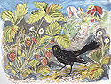 Mark Hearld - Brambles