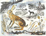 Mark Hearld - Hare