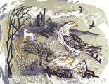 Mark Hearld - Hawk near Movah