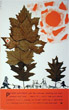 John Burningham - Pomifer Autumnus