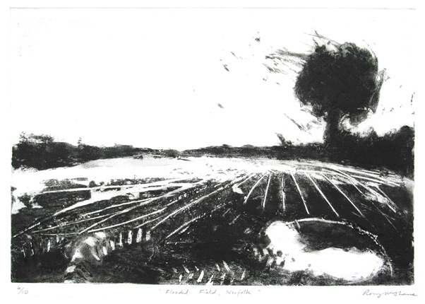 Rory McShane - Flooded Field