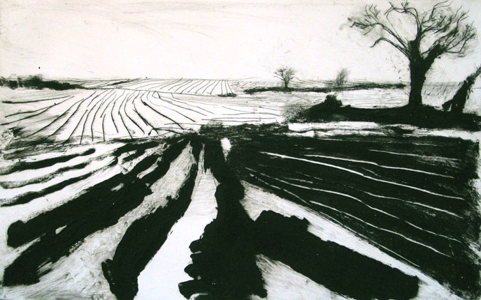 Rory McShane - Ploughed Landscape